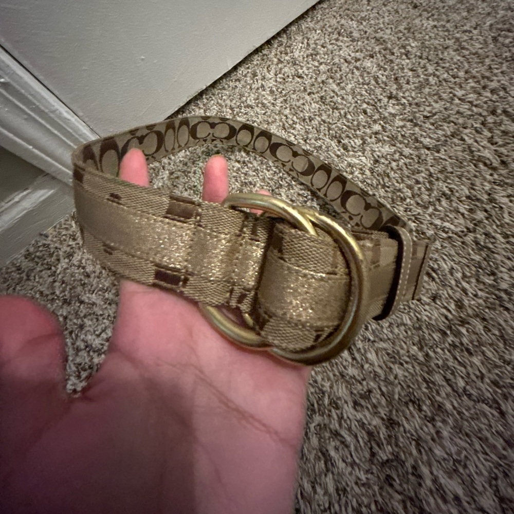 Brown Coach Belt S